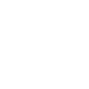 Procelain